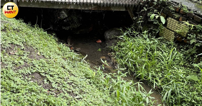 新莊棄屍命案死者特徵再曝光，背、手臂有刺青盼盡速釐清身份。（圖／沈建邦攝）