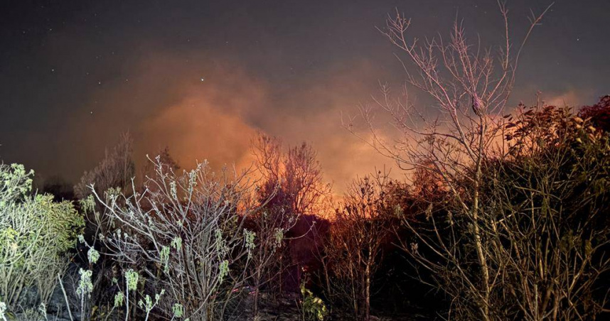 金門金沙鎮山后村鎮海宮附近林地13日深夜發生火警，在東北季風助長下迅速延燒，消防人員出動怪手開闢防火巷，歷時5小時撲滅。（圖／翻攝畫面）