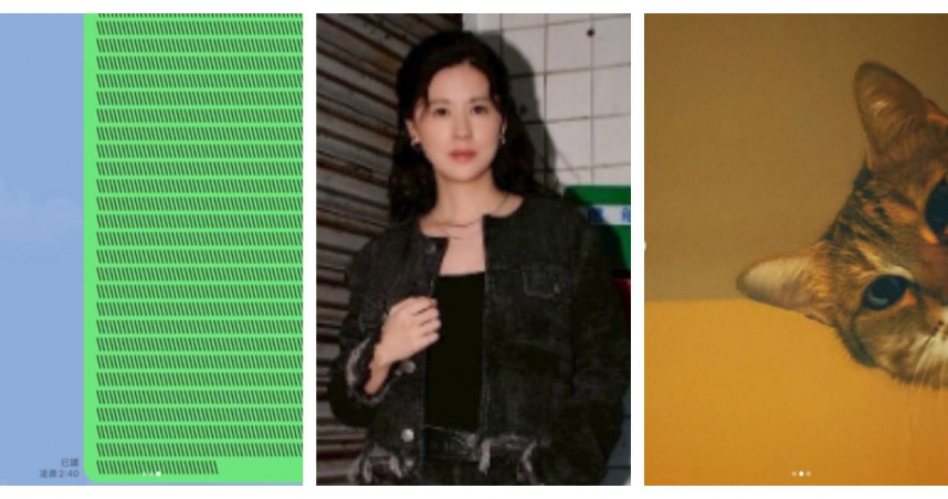 林予晞帳號半夜狂傳訊息！經紀人嚇壞　一查竟是貓咪搞鬼