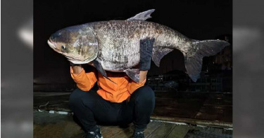 男日月潭夜釣收穫「42台斤巨獸」 驚喜PO網:從沒遇過