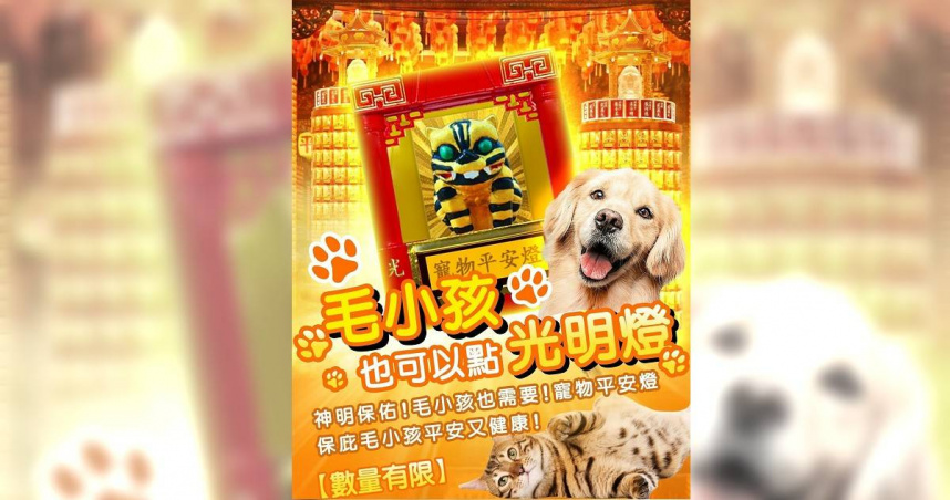 （圖／楊登嵙提供）