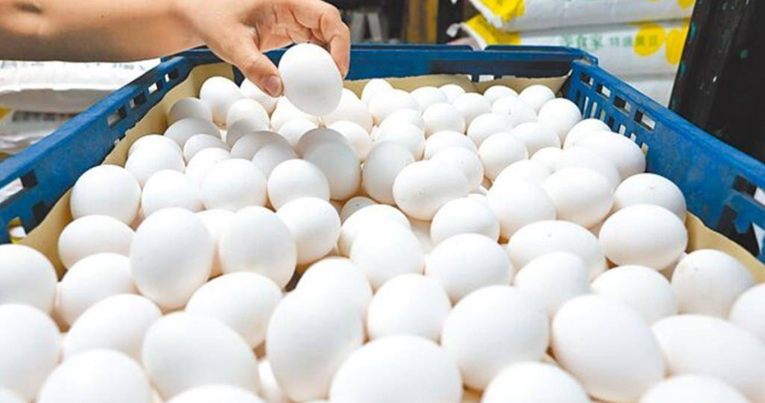 我國雞蛋價格長期呈現「低價」狀態，且又傳出飼料價格每公斤將調漲0.4至0.5元，導致蛋農苦不堪言，不過近日雞蛋生產量下跌，因此雞蛋批發價自今（24）日起調漲3元達每台斤35元，產地價則是周三調漲3元，達每台斤25.5元。（圖／報系資料照）