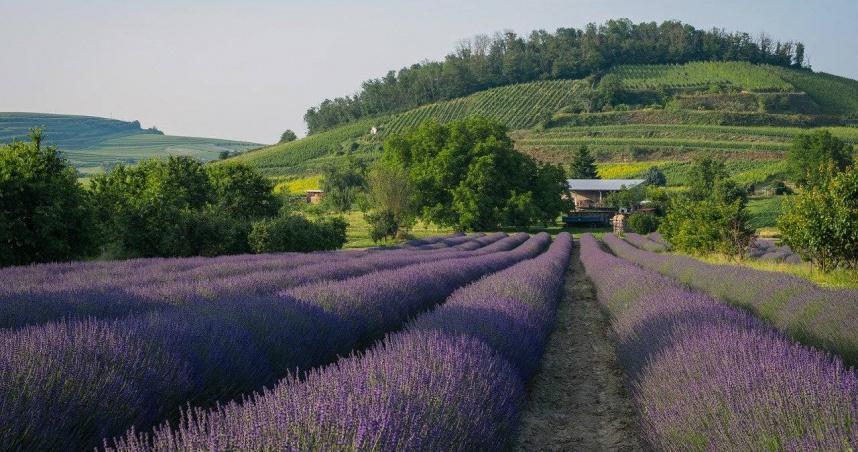 （示意圖／pixabay）