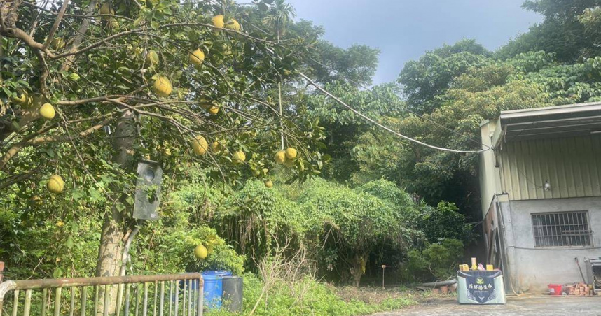 彰化小吃店老闆失蹤發現時剩紅衣枯骨。（圖 ／翻攝畫面）