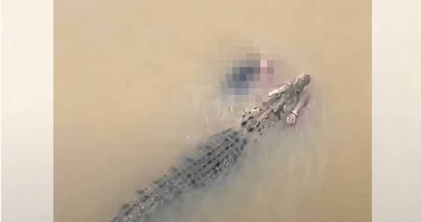 印度一名57歲婦人在河邊洗澡，突然被一隻巨鱷攻擊，目擊者看著她被咬住後拖入河中，有村民嘗試救援未果，最終她已明顯死亡，鱷魚咬著她的屍體游往下游。（圖／翻攝自YouTube／The Royal World Himansu）