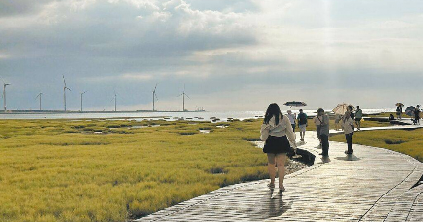 高美溼地是台中市重要生態地標之一，也是全台百大動物路殺熱點之一。（圖／中國時報馮惠宜攝）