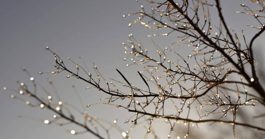 （示意圖／Pexels）