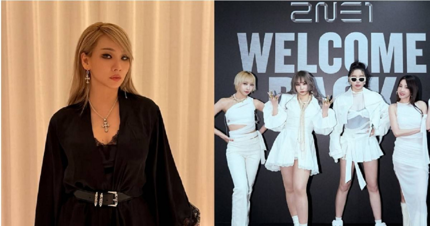 女團2NE1隊長遭移送檢方。（圖／翻攝自Instagram／chaelincl）