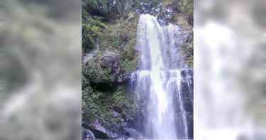 女登山客結伴登山卻意外摔山谷 警消摸黑搜救尋回遺體