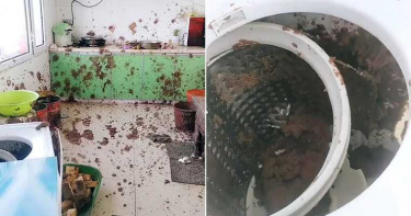 女子自製豆沙包洗衣機炸開慘成「地獄廚房」 紅豆餡噴滿屋哀號:愁死我