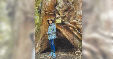 陳妤偏財運不佳 踏實賺錢自嘲勞碌命