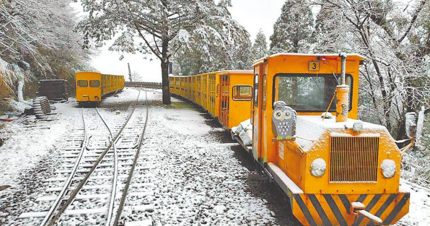 太平山國家森林遊樂區下起冰霰，形成銀白雪景。（圖／林保署宜蘭分署提供）