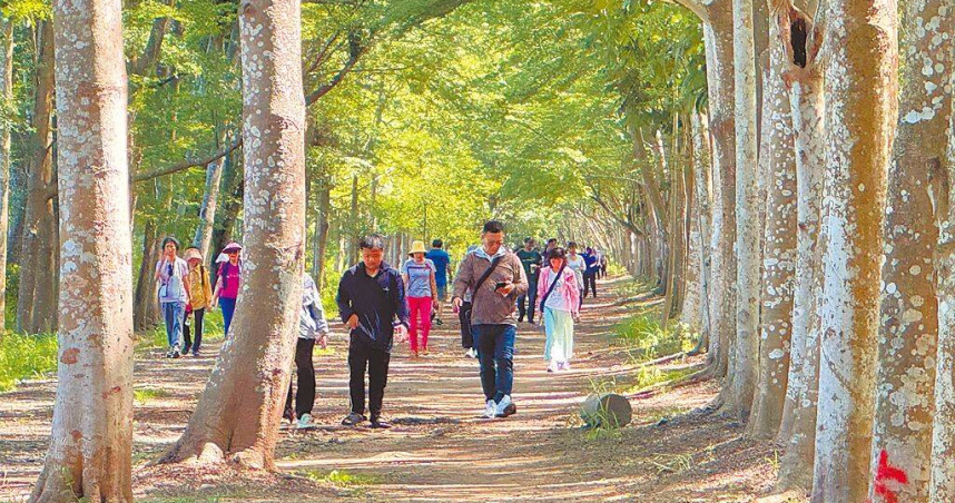 台南仁德成功里15日在虎山森林發起守護牛稠子遺址連署活動，鄉親連署後也走入森林巡禮一圈。（圖／中國時報曹婷婷攝）