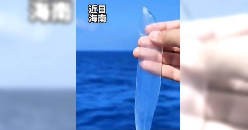大陸海南省一個海洋科學考察團隊近日意外捕獲一條透明鰻魚。（圖／翻攝自微博）