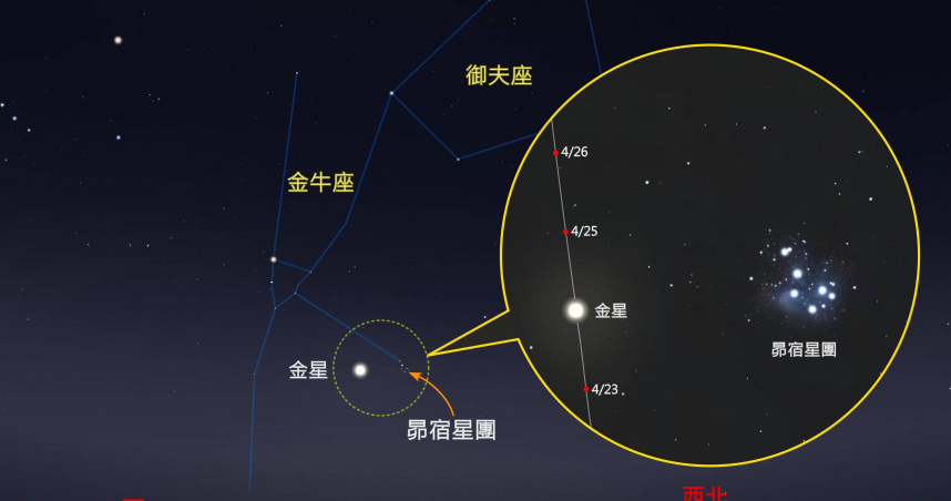 近期黃昏的西方天空將出現「金星接近昴宿星團」天象。（圖／臺北天文館）