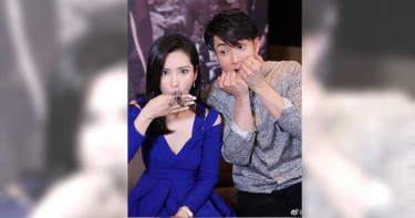 七彩蜘蛛2/身價堪比蘋果手機 李冰冰、怪奇比莉奉牠們為最愛