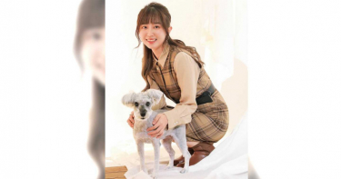 寵物情緣/洪詩 初心者變養狗奇才 12歲愛犬超逆齡