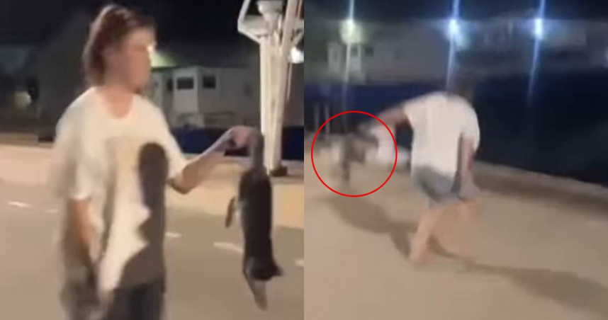 澳洲一名21歲女子將一隻被車輾死的小貓撿起後，一邊嘻笑，一邊將小貓直接丟入海中。（圖／Fcaebook／Aussies Against Animal Abuse）