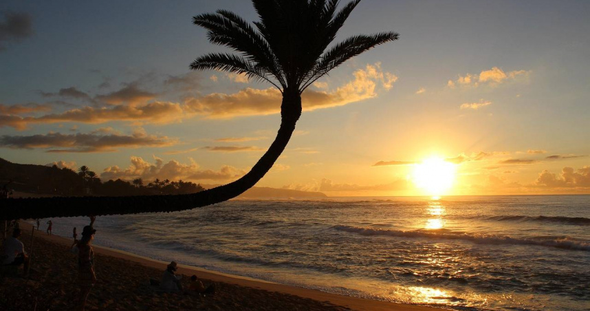 民俗專家廖大乙指出，屬龍、狗、牛、羊4生肖夏至運勢將強勢反彈。（示意圖／Pixabay）