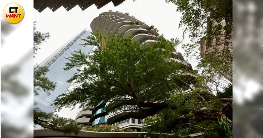 「陶朱隱園」成屋多年終於開胡，以每坪364萬元，一舉拿下2025年北市十大成屋豪宅，為去年平淡的豪宅市場增添亮點。（圖／黃耀徵攝）