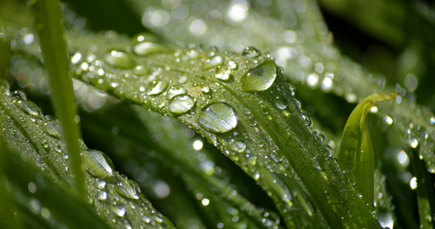 （示意圖／Pixabay）