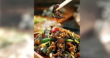 【部落好滋味3】愛哈拉酒食屋 小舞台 歡唱忘憂