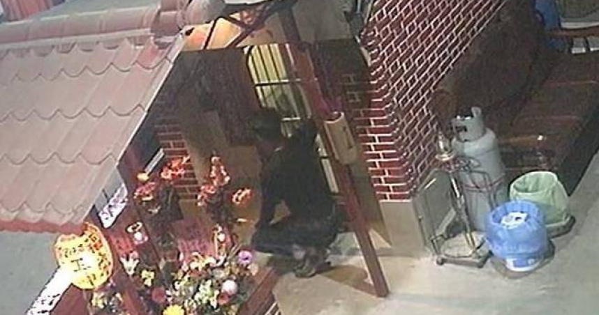 男子偷竊不只毀神像還踩貢品，犯行氣怒信徒。（圖／翻攝畫面）