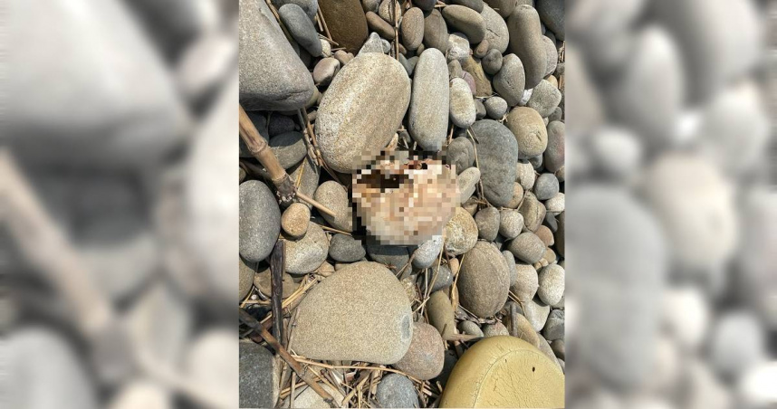 台中市大甲區大安溪出海口17日驚傳發現1顆疑似人類顱骨。（圖／民眾提供）