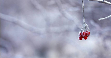 命理專家柯柏成分享小雪開運方法。（示意圖／Pexels）