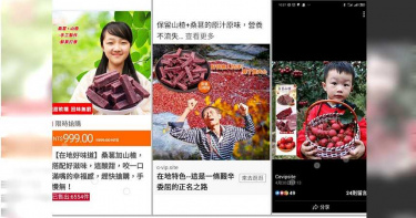 臉書「台灣小農」故事引同情 網友揭:別買中國詐騙一頁式廣告商品