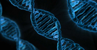 曾與消失的人種通婚!科學家重新分析現代人基因 19%DNA前所未見