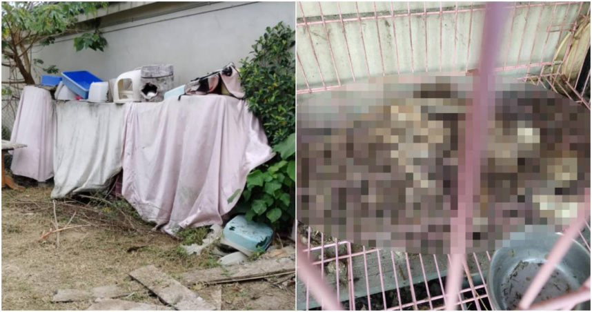 台南市永康區某餐廳業者遭踢爆，將飼養的3隻貓咪活活餓死，甚至放任屍體在鐵籠裡曬成白骨。（圖／擷取自Facebook／台南大小事）