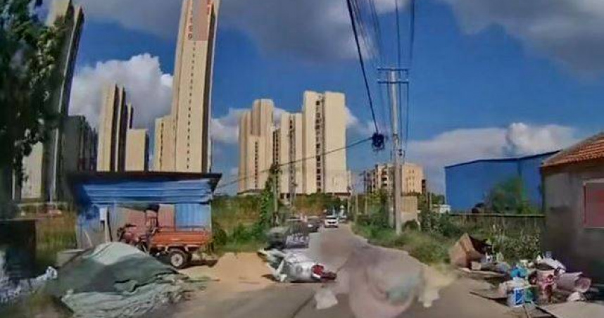 女子單手騎車自摔，距離她數公尺遠的對向駕駛卻被認定須承擔次要責任。（圖／翻攝自紅星新聞）