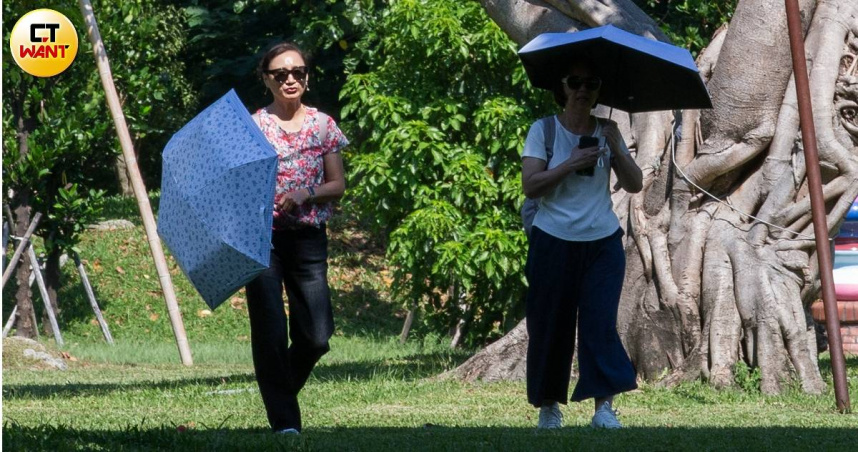 明天大台北、桃園高溫上看37度，桃園以南午後有局部短暫雷陣雨。（示意圖／黃威彬攝）
