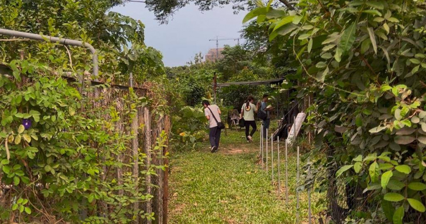 蔡姓男子在橋頭區租下農舍用來改槍，近日遭警方逮捕送辦。（圖／翻攝畫面）