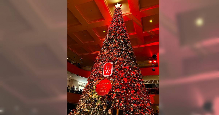 聖誕樹。（示意圖／楊登嵙提供）