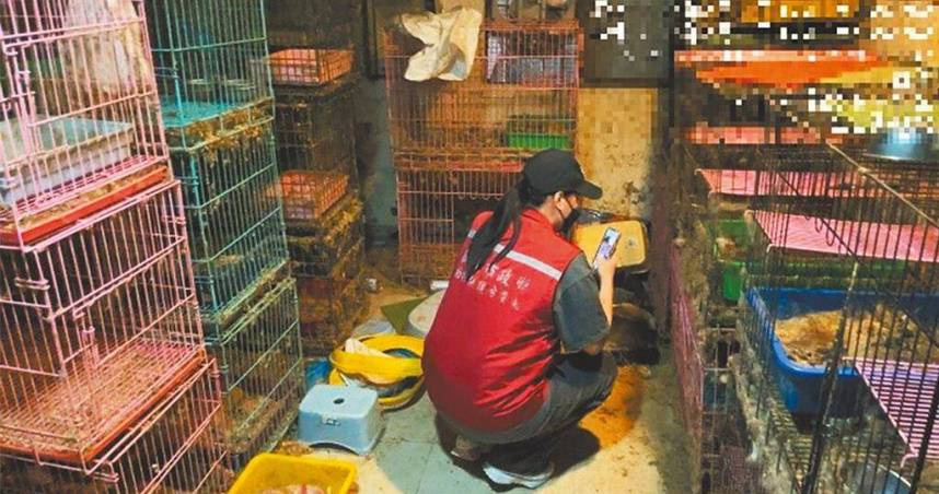 謝水森導致7貓死亡，二審竟逆轉輕判。（圖／報系資料照）