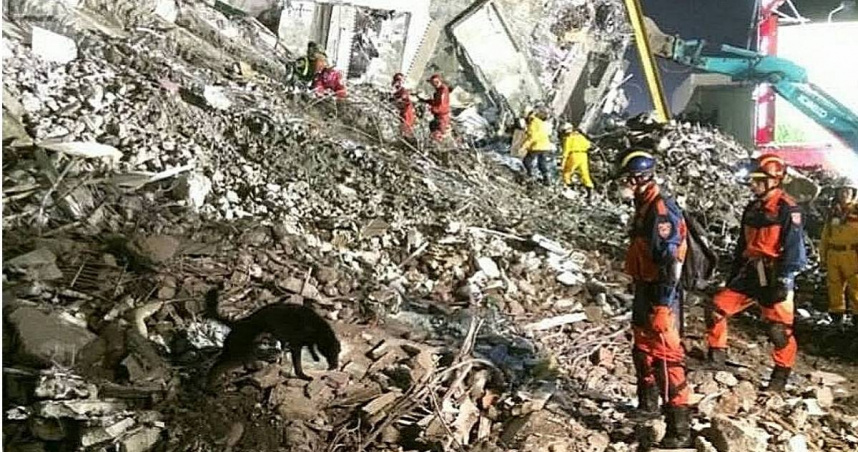 搜救犬水很深3／紅衣搜救隊黑幕重重！　不甩消防隊內鬥撕裂