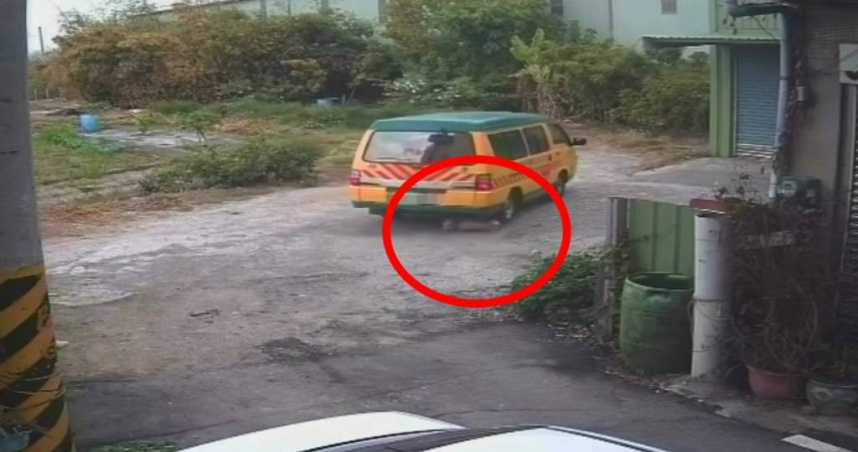 娃娃車闖私地輾斃狐狸犬！飼主崩潰討公道　園方保險踢皮球惹眾怒