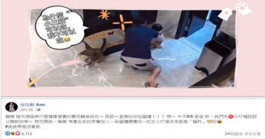 偷吃貓飼料!老公嚇到忙挖小孩嘴巴 安以軒笑稱:爸爸帶娃活著就好