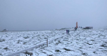 再傳盛夏降雪 甘肅農牧產業受到嚴重衝擊