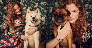 狗狗超搶鏡!Swatch派出萌犬當model力推秋冬同款可愛腕錶