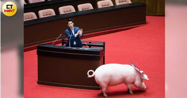 國民黨立委蔣萬安昨日立院表現聲量表現不俗。（圖／記者黃威彬攝）