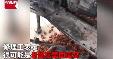 愛車頻頻故障被迫送廠維修 師傅拆開引擎後「驚呆了!」