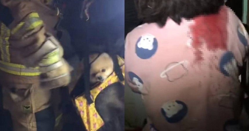 台南民宅倒塌，2大1小與毛孩死裡逃生。（ 圖／翻攝畫面）