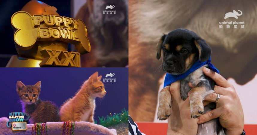 （圖／取自動物星球頻道）