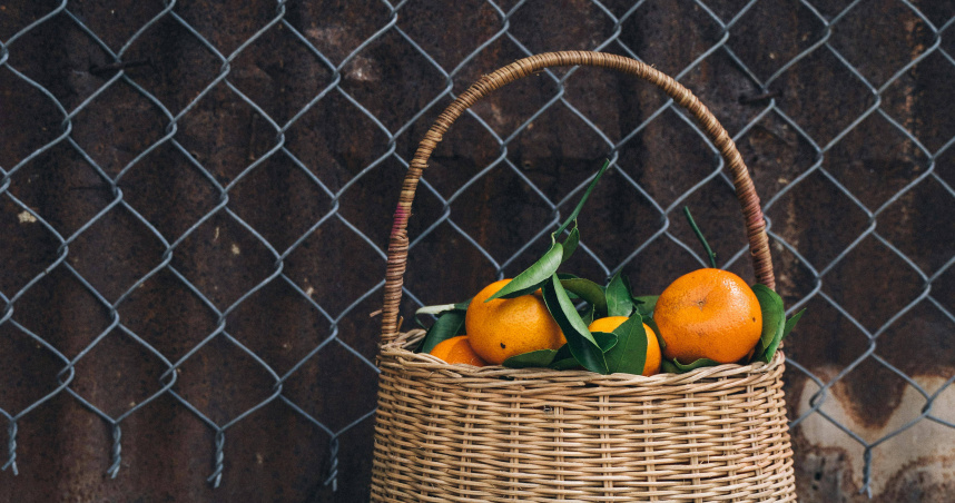 美國總統川普宣布將自8月1日起，對所有來自巴西的進口產品徵收50%新關稅。（示意圖／翻攝Pexels）