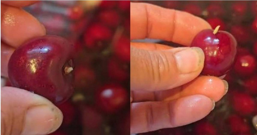 國外有女網友把櫻桃泡在醋水裡，竟有白色小蟲從果肉裡鑽出。專家也坦言蔬果光清水洗除不了蟲，可以用淡鹽水或醋水短暫浸泡，讓蟲卵或幼蟲自行浮出。（圖／翻攝自TikTok／wover50）