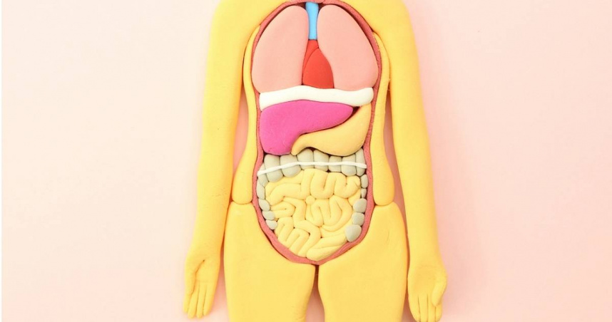 陳保中呼籲，年輕的大腸癌患者已經越來越多，千萬別因「覺得還年輕」而錯過治療的黃金時間。（示意圖／翻攝自photoAC）