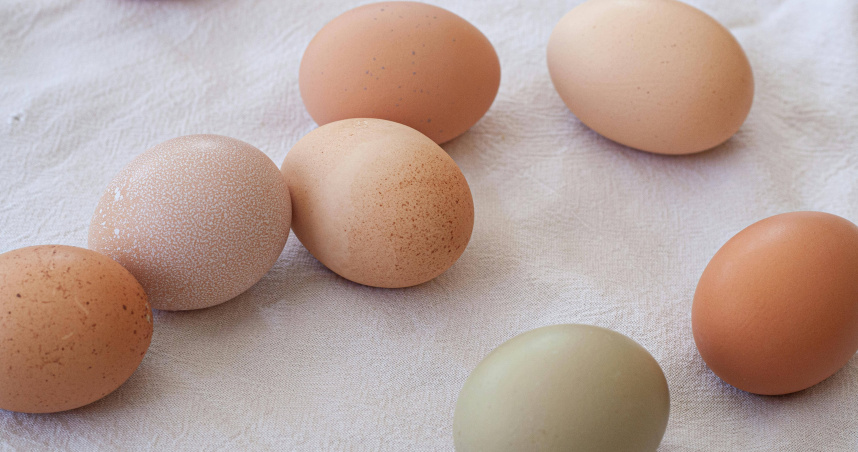 醫師曝牛奶＋雞蛋的早餐組合，沒有碳水化合物，對身體不佳。（示意圖／Pexels）